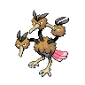 dodrio 通常