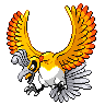 ho-oh 色違い